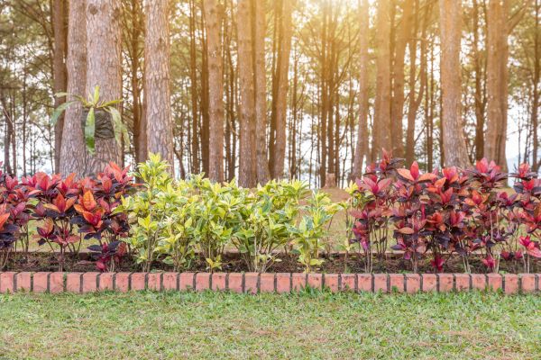 Small Garden Landscaping in Mechanicsville
