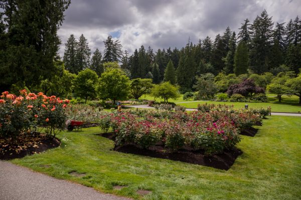 Flower Garden Landscaping in Mechanicsville