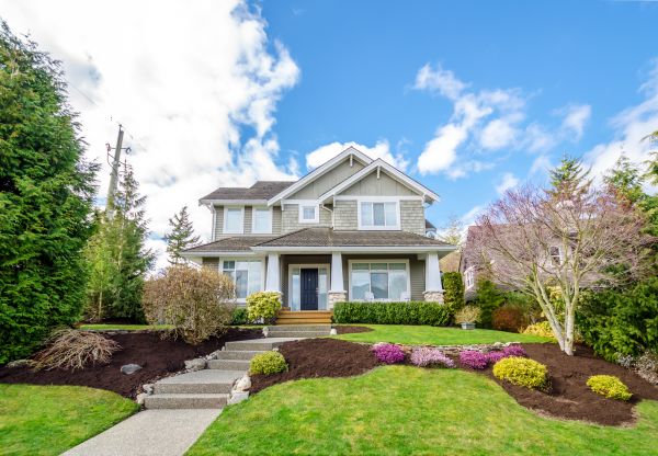 Landscaping Replacement in Mechanicsville