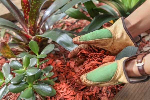 Residential Mulching in Mechanicsville