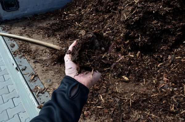 Condo Mulching in Mechanicsville