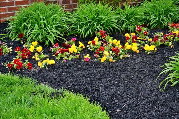 Apartment Mulching in Mechanicsville