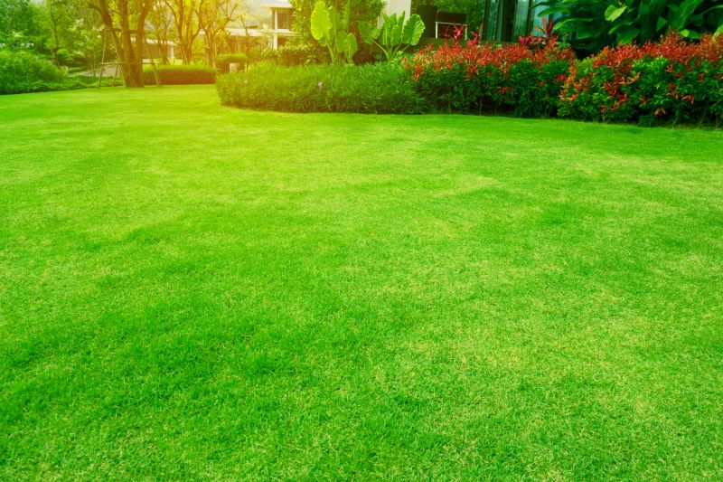 Expert Lawn Care